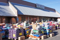 Long Leash On Life - Photo 2 - Car repair in Albuquerque, NM, Albuquerque