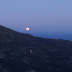 Photo n°13 de l'avis de Virginia.o fait le 12/09/2022 à 14:42 sur le  Hotel Dei Tacchi à Osini