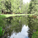 Photo n°19 de l'avis de Rudi.o fait le 08/06/2023 à 13:48 sur le  Hotel Sulfner à Santa Caterina