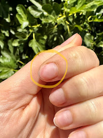 Princeton Nails - Photo 9 - Car repair in Princeton, NJ, Trenton