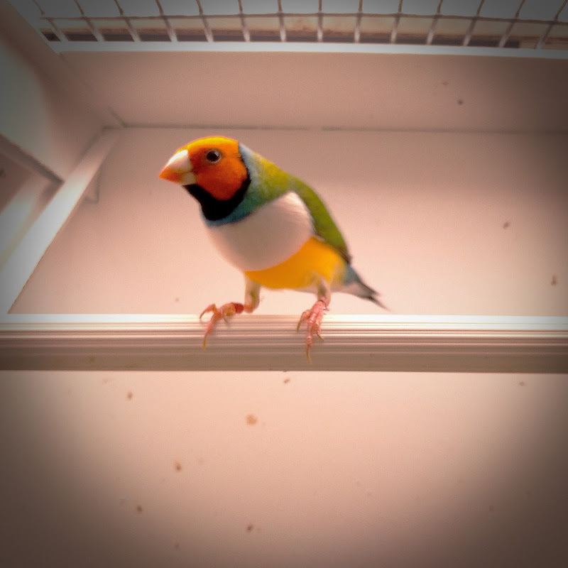 6 image