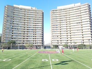 George White Field - Galileo Academy - photo 9