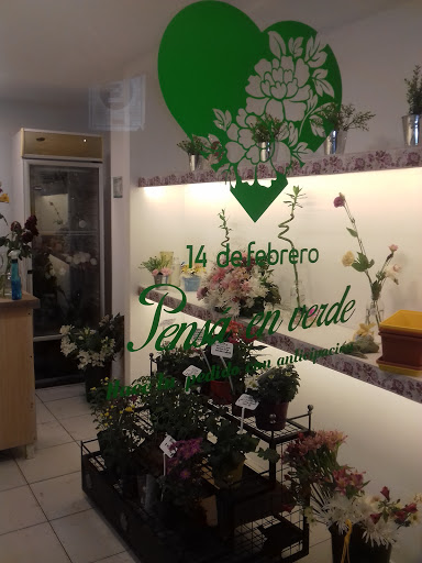 Joaquina Boutique Floral