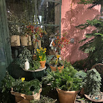 Photo n°12 de l'avis de Mete.i fait le 25/12/2022 à 16:58 sur le  Capoverde Ristorante | Gustoso e Solidale à Milan