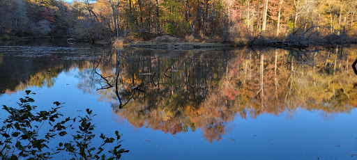 Government Office «Sweetwater Creek State Park», reviews and photos, 1750 Mt Vernon Rd, Lithia Springs, GA 30122, USA