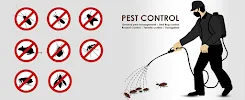 Global Green Pest Control - Car repair in , New York - Rated 0.0/5