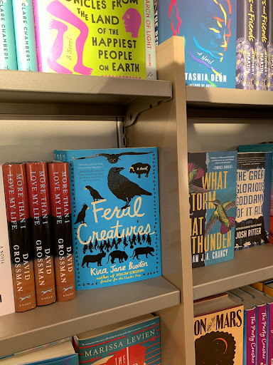 Book Store «Barnes & Noble», reviews and photos, 2751 Paper Mill Rd, Wyomissing, PA 19610, USA