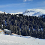 Photo n°4 de l'avis de Annalisa.a fait le 21/01/2023 à 17:33 sur le  Piffinger Köpfl à Hafling