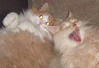 The Petsitters - Photo 4 - Car repair in , San Francisco