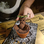 Photo n°4 de l'avis de Alexandra.u fait le 18/06/2023 à 19:29 sur le  Binario Magic Pub à Palazzago