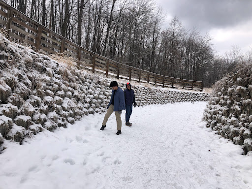 Tourist Attraction «Brandywine Gorge Trail», reviews and photos, 8176 Brandywine Rd, Sagamore Hills, OH 44067, USA