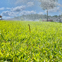 Lawn Doctor of Columbia/Lexington/West Columbia - Photo 8 - Car repair in Lexington, SC, Columbia