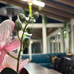 Photo n°5 de l'avis de Latif.u fait le 18/11/2023 à 19:18 sur le  Al-bik - Arabisches Restaurant in Stockach à Stockach