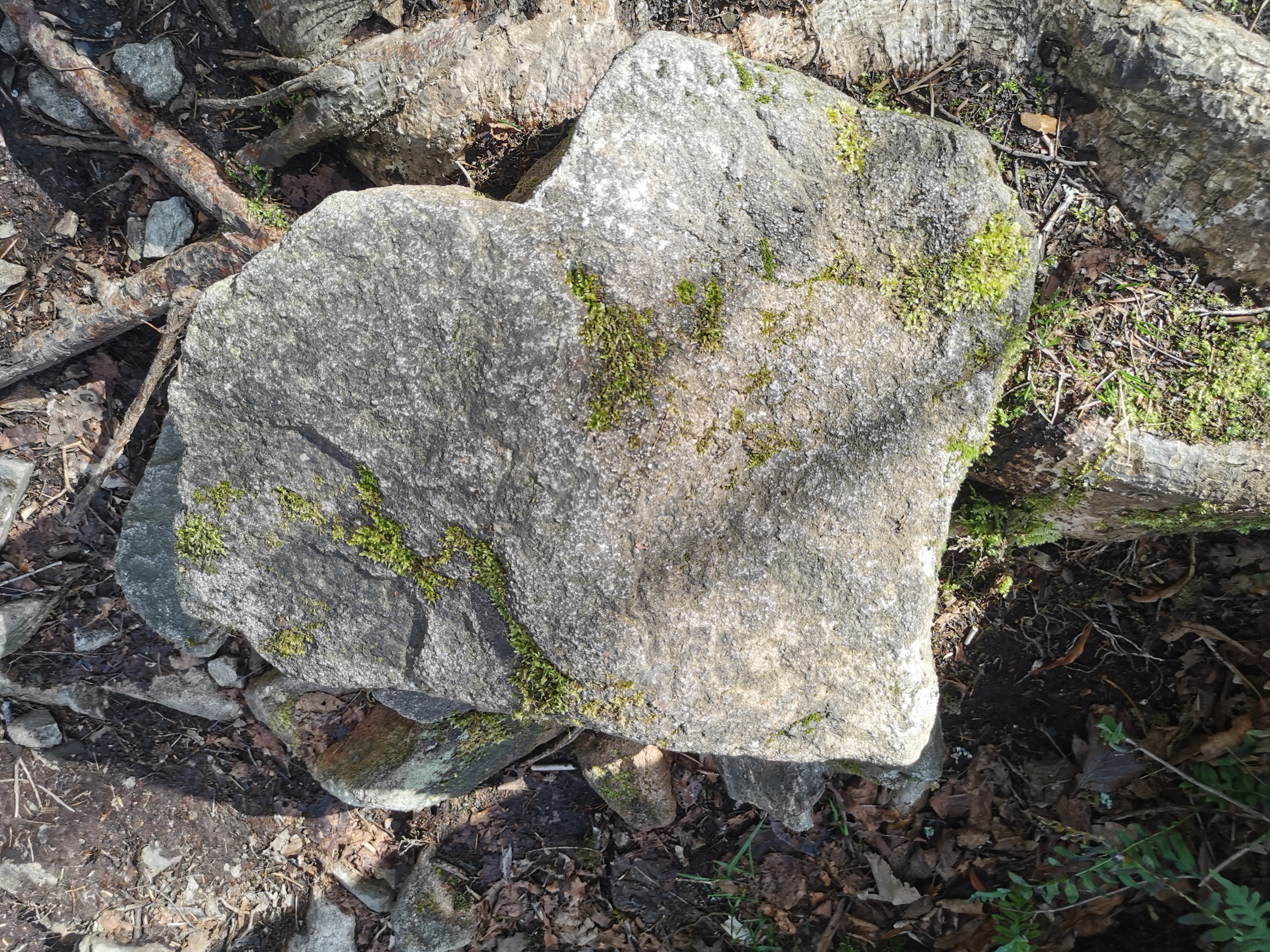 Photo n° 18 de l'avis de Colomban.r fait le 16/03/2024 à 17:37