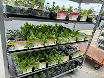 The Home Depot - Photo 8 - Car repair in Chicopee, MA, Springfield