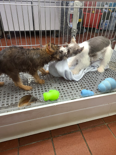 Pet Store «Pets Plus Inc», reviews and photos, 2610 Jefferson Davis Hwy, Stafford, VA 22554, USA