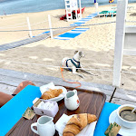 Photo n°2 de l'avis de A... fait le 20/06/2023 à 09:27 sur le  Kurumba Beach à Valledoria