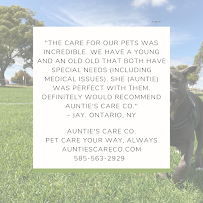 Auntie's Care Co. - Photo 5 - Car repair in , Rochester