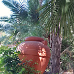 Photo n°1 de l'avis de Angelika.e fait le 08/08/2023 à 17:26 sur le  Bistrot fish garden Pinseria à Florence