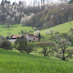 Photo n°1 de l'avis de Carina.k fait le 13/05/2023 à 12:56 sur le  Pension and country inn Ostertal à Reichelsheim