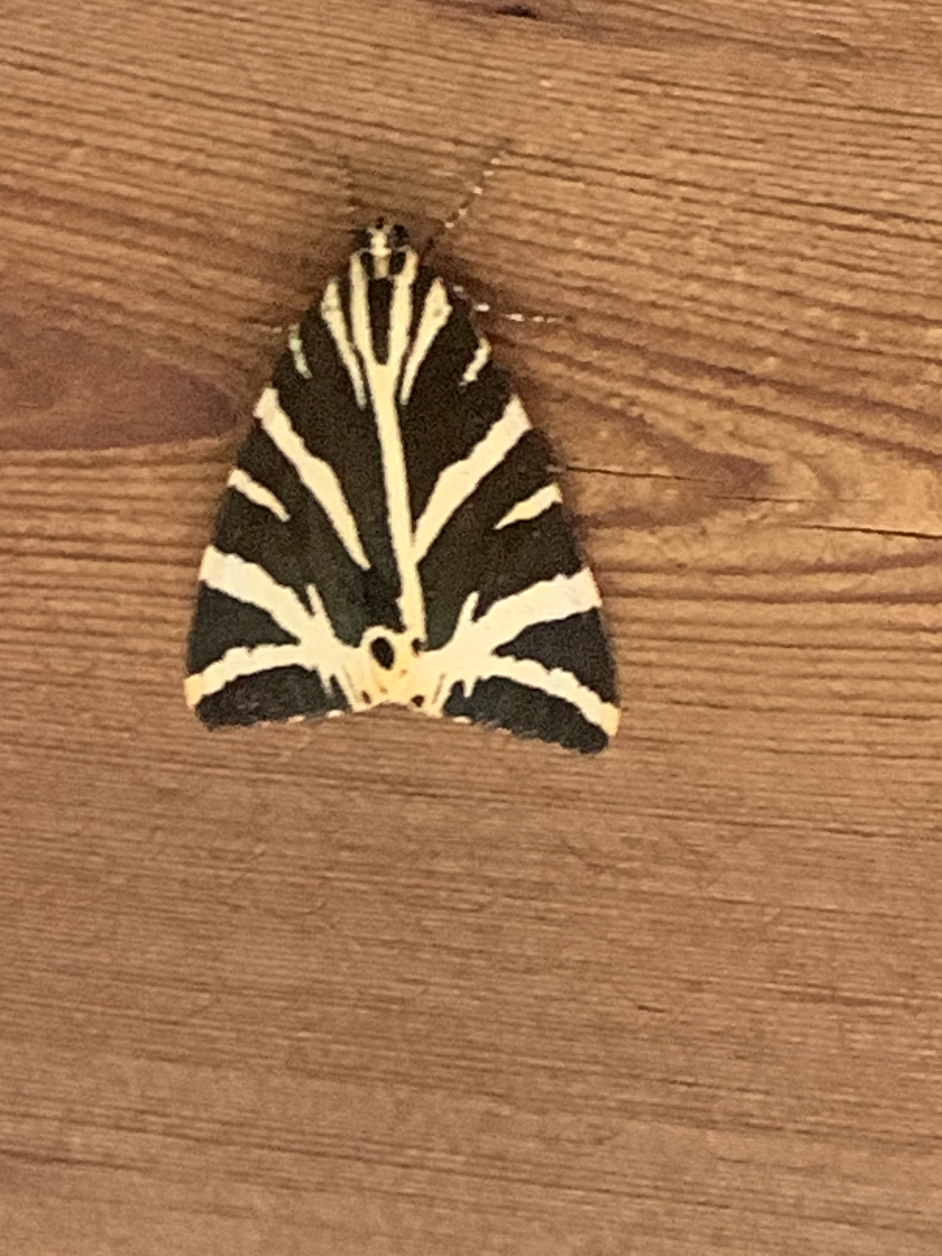 Photo n° 1 de l'avis de Alexandra.d fait le 29/08/2023 à 16:31