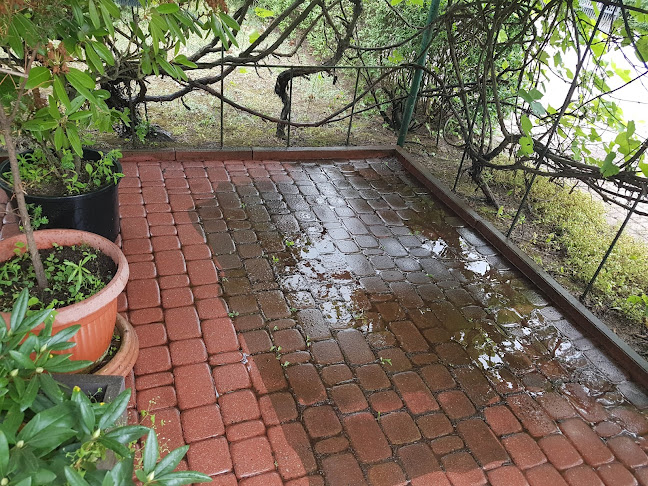 Comentarii opinii despre panodkostki.pl