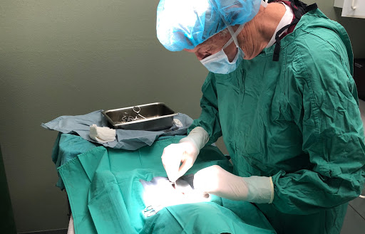 Calabasas Animal Clinic image