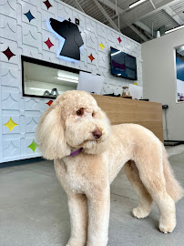 Fur Lab - Photo 1 - Car repair in Edmond, OK, Oklahoma City