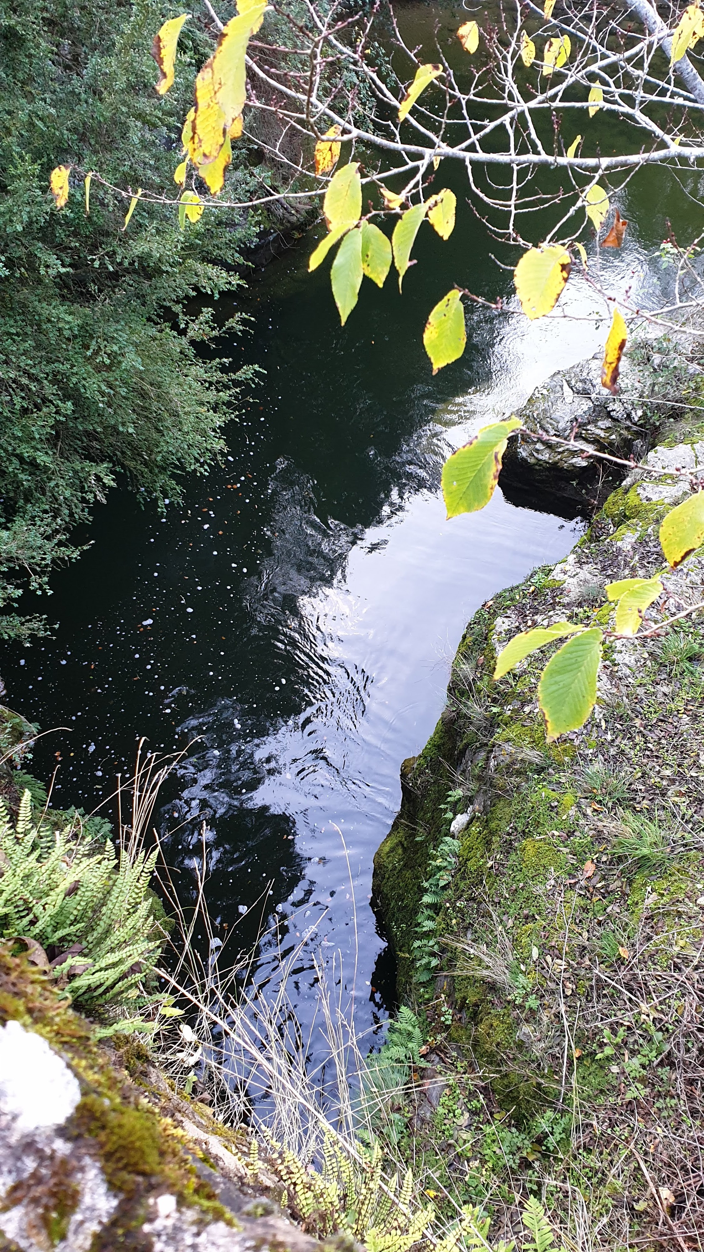 Photo n° 5 de l'avis de Jocelyne.a fait le 01/11/2019 à 15:12