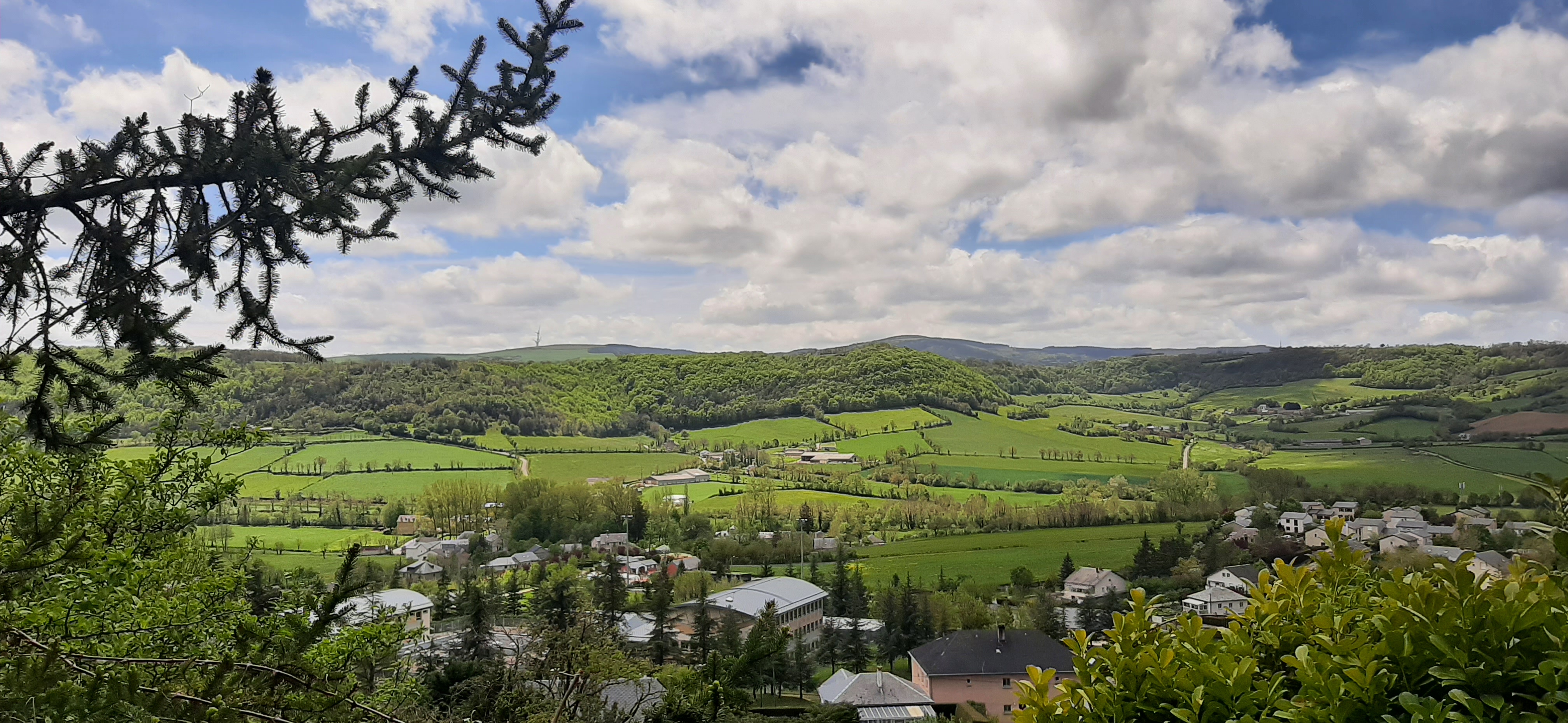 Photo n° 10 de l'avis de Jean-Jacques.U fait le 18/05/2021 à 17:35