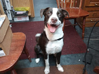 Dynamic Automotive & 4x4 - Photo 8 - Car repair in Panama City, FL, Panama City