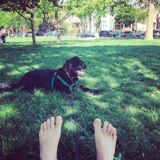 Gym «Chicago Primal Gym», reviews and photos, 1235 W Belmont Ave Unit B, Chicago, IL 60657, USA