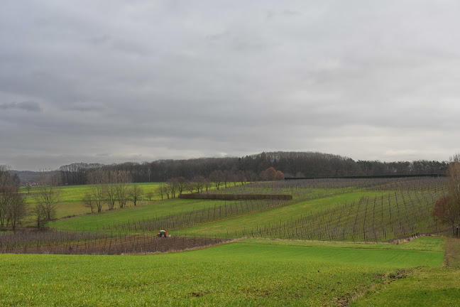 NV Better3fruit - Aarschot