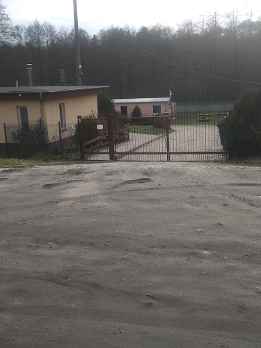 Comentarii opinii despre Miejskie schronisko dla bezdomnych zwierząt