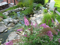 Chapman Landscaping & Stone Construction - Photo 2 - Car repair in , Norwich