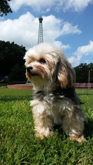Eiffel Tower Park - photo 33