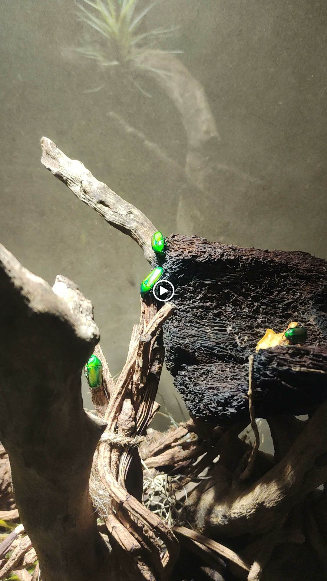 Photo n° 6 de l'avis de R. fait le 11/09/2022 à 13:52