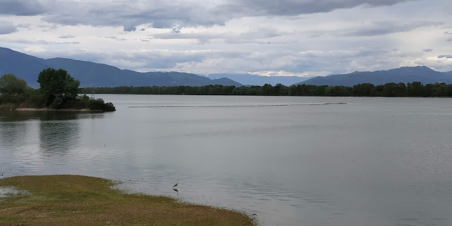 Τίντζας Καφέ
