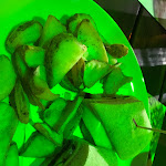 Photo n°5 de l'avis de Fabrizio.o fait le 13/08/2018 à 22:48 sur le  Ristorante Alle Bocce à Lignano Sabbiadoro