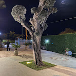 Photo n°9 de l'avis de max.h fait le 23/09/2021 à 19:25 sur le  La Stella Dell'Isola - Ristorante a Diamante CS à Diamante