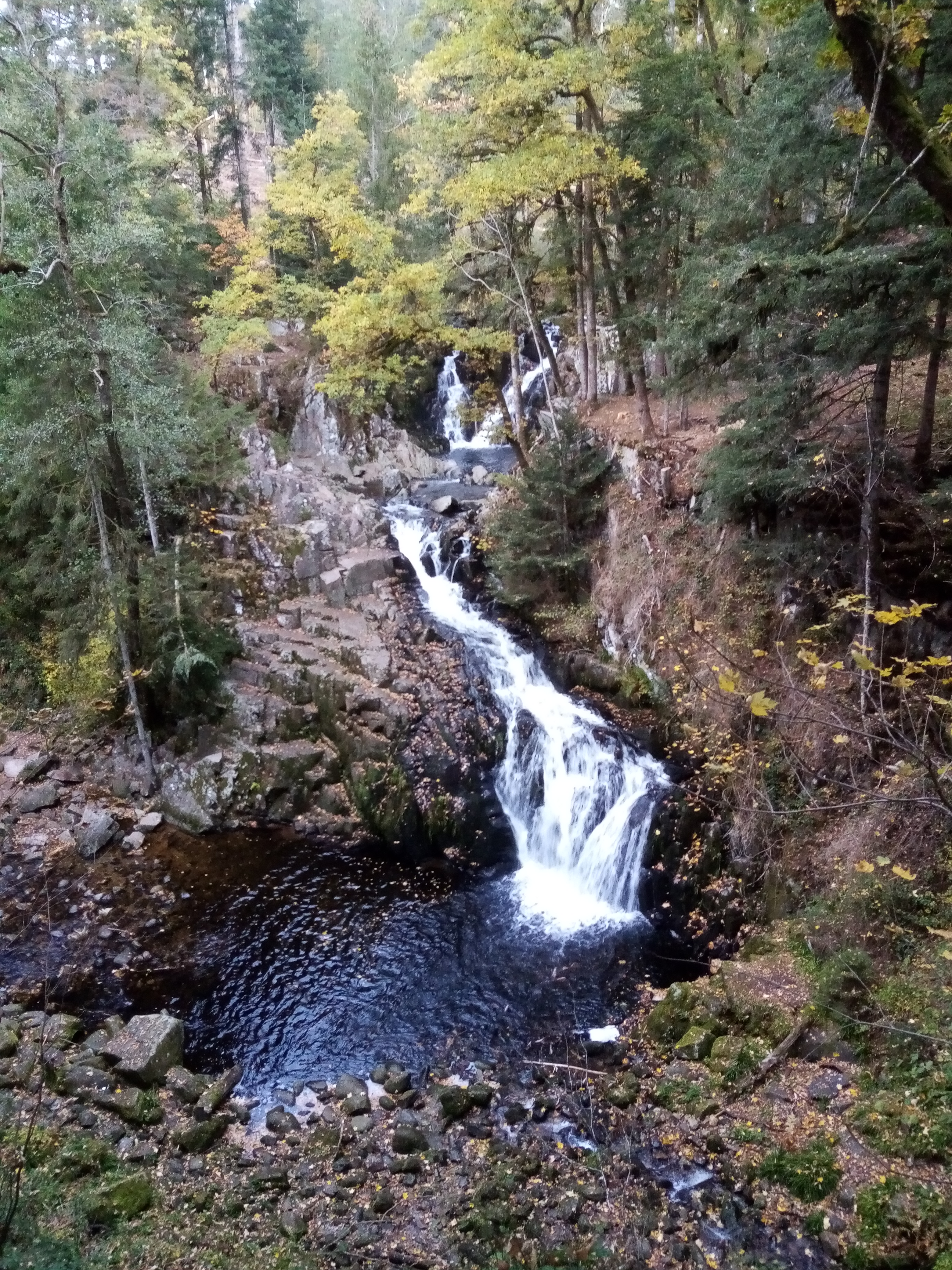 Photo n° 5 de l'avis de Fabrice.u fait le 31/10/2020 à 22:17