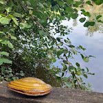 Photo n°3 de l'avis de Doris.e fait le 27/09/2023 à 15:38 sur le  Moorstrandhaus à Spenge