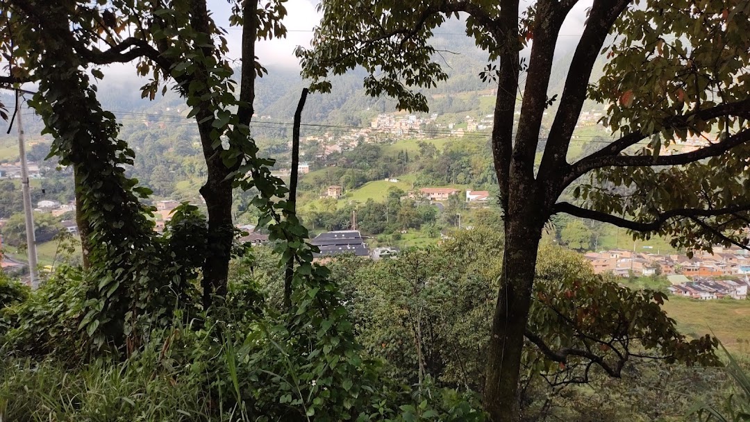 Reserva Forestal San Miguel