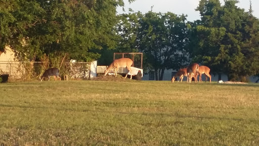 National Park «Chickasaw National Recreation Area», reviews and photos, 901 W 1st St, Sulphur, OK 73086, USA