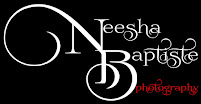 Neesha Baptiste Photography - Photo 1 - Car repair in , Waterbury