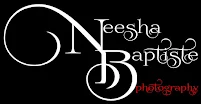 Neesha Baptiste Photography - Car repair in , Waterbury - Rated 0.0/5