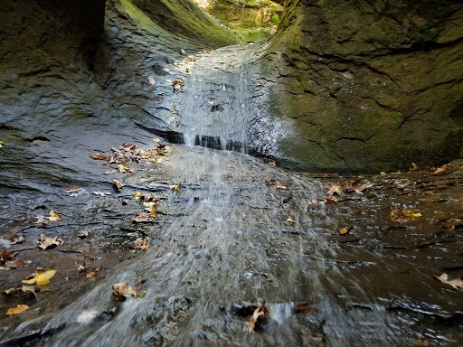Campground «Fallen Rock Park Restaurant», reviews and photos, 8816 Fallen Rock Rd, Brazil, IN 47834, USA