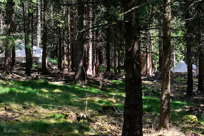 AS Ranch à Lesperon