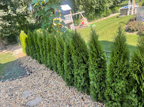 J&M Landscaping Group - Photo 8 - Car repair in Chicago, IL, Chicago