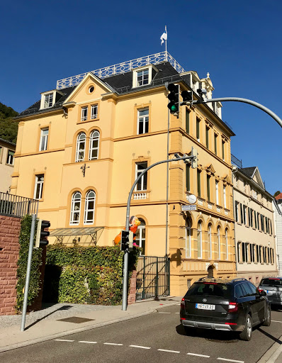 Heidelberg College Privatgymnasium mit Internat